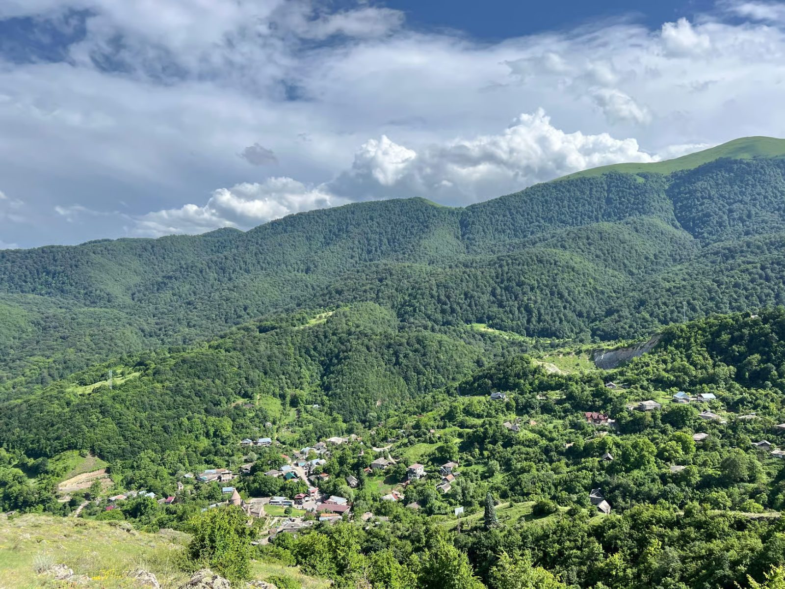 Forest Hike & Wild Mountain Tea Ritual