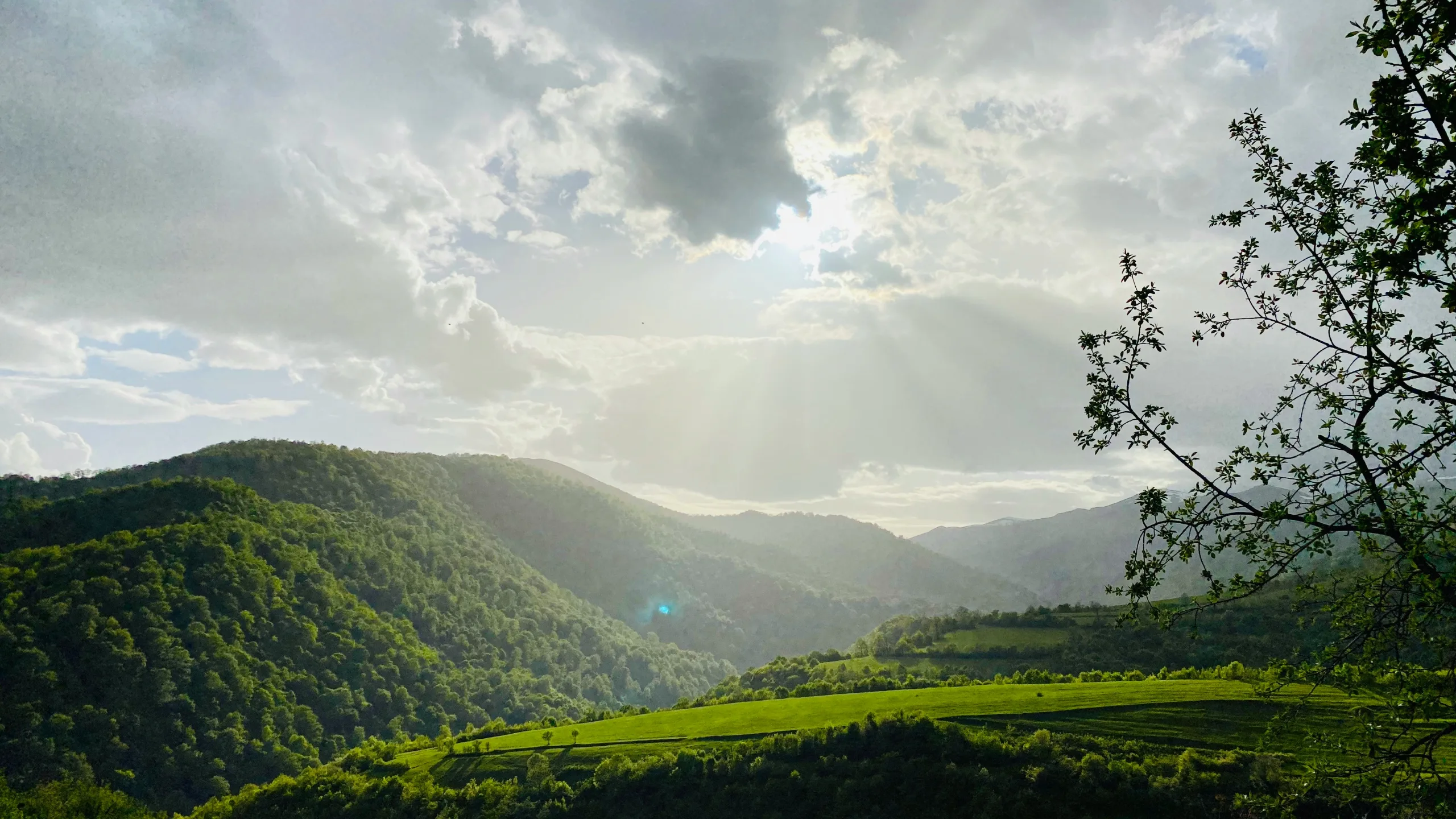 A Forest Walk Where Shostakovich Wrote